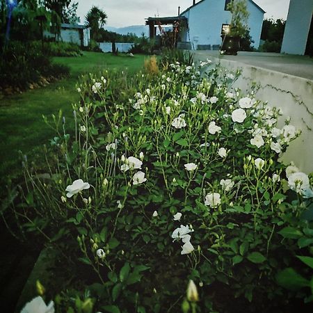 Klipfontein Rustic Farm & Camping 图尔巴 外观 照片