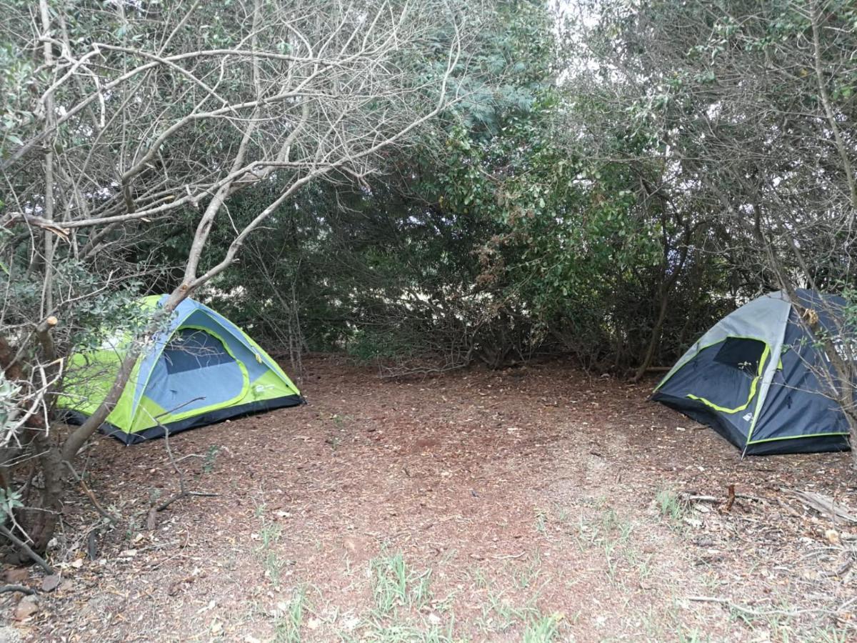 Klipfontein Rustic Farm & Camping 图尔巴 外观 照片