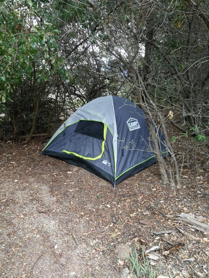 Klipfontein Rustic Farm & Camping 图尔巴 外观 照片