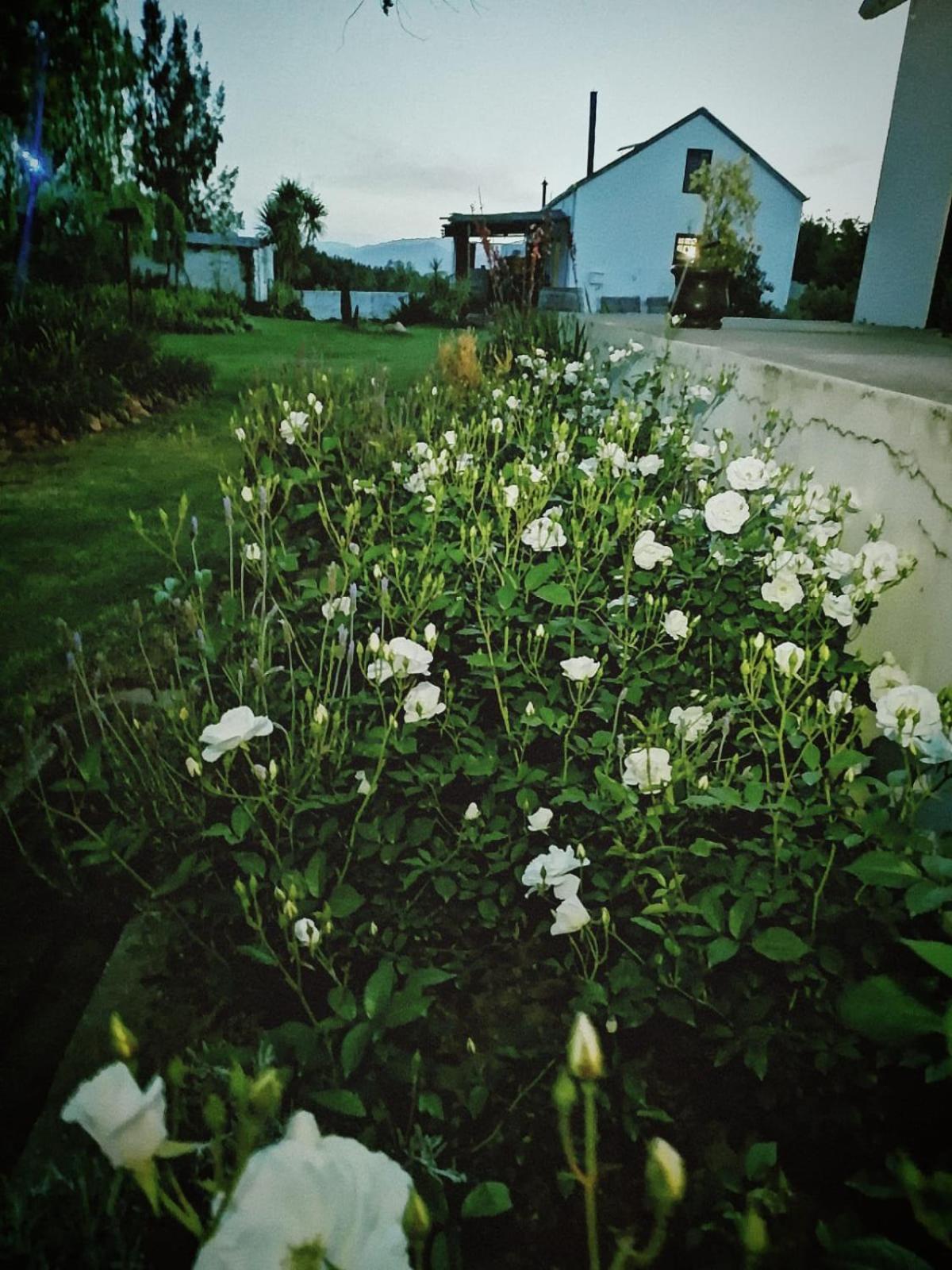 Klipfontein Rustic Farm & Camping 图尔巴 外观 照片